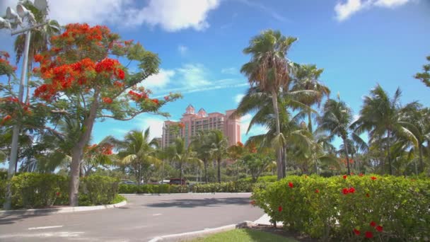 拿骚巴哈马亚特兰蒂斯度假村地面与本地热带树木和植物周围的标志性酒店建筑外部在阳光明媚的日子与白云在蓝天 — 图库视频影像