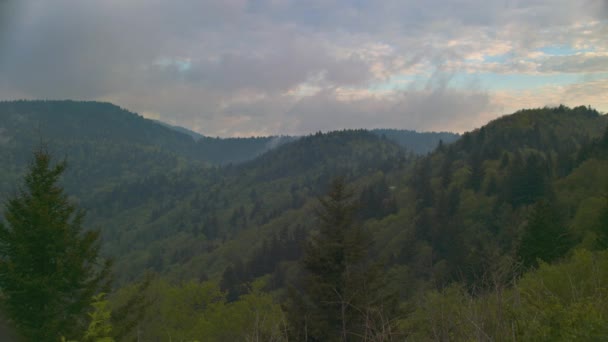 Grüne Baumwälder Schichten Auf Dem Blauen Kamm Berge Einem Bewölkten — Stockvideo