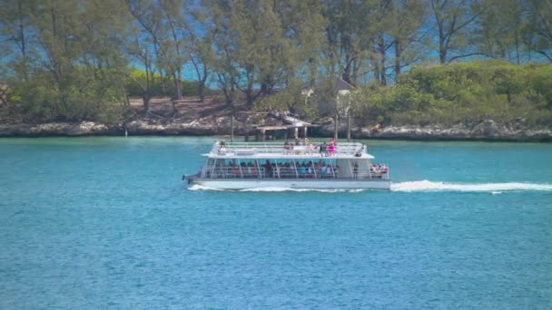 島国の首都で晴れた日に港を出て熱帯ブルーウォーターで航海する観光客とナッソーバハマエクスカーションボート — ストック動画