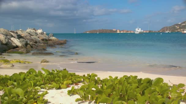 カリブ海の晴れた日に砂とエキゾチックな青い海の水に緑の葉の植物とフィリップスバーグセントマールテン熱帯グレートベイビーチシーン — ストック動画