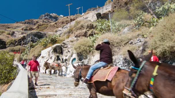 Santorini Grecia Crucero Pasajeros Turistas Montar Burros Subir Ruta Montaña — Vídeos de Stock