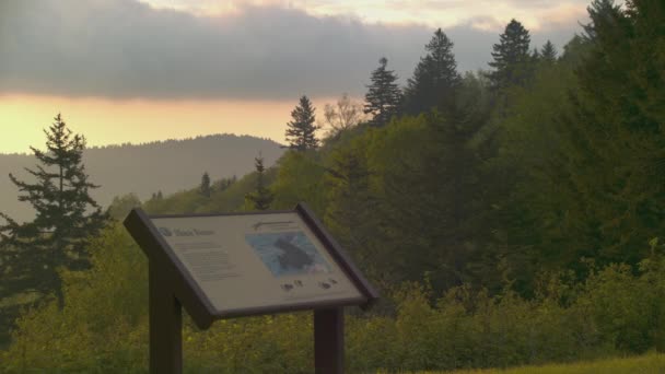 熊陷阱差距俯瞰蓝岭公园路特写与黑熊信息标志和绿色森林树背景在阿什维尔北卡罗来纳州附近的清晨 — 图库视频影像
