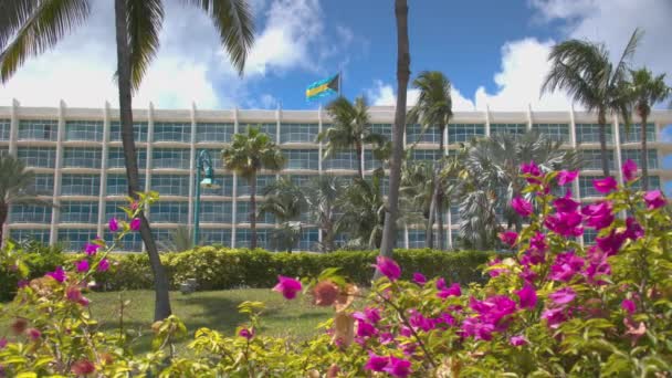 Tropical Hotel Exterior Paradise Island Nassau Bahamas Med Exotiska Rosa — Stockvideo