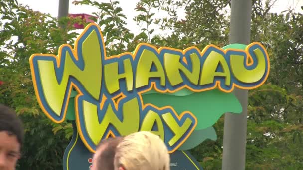 Bezoekers Van Aquatica Waterpark Orlando Walking Bewegwijzering Van Een Water — Stockvideo