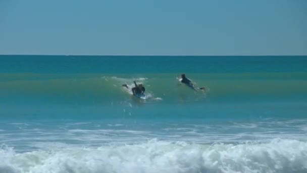 Wilmington Surf Action Plage Wrightsville Avec Des Surfeurs Chevauchant Les — Video