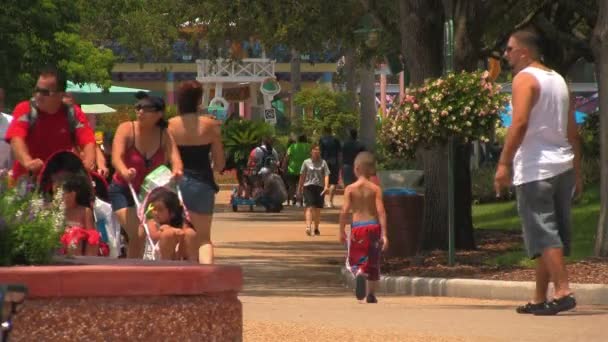 Busy Crowd People Visiting Orlando Seaworld Adventure Park Summer 4Th — Stock Video