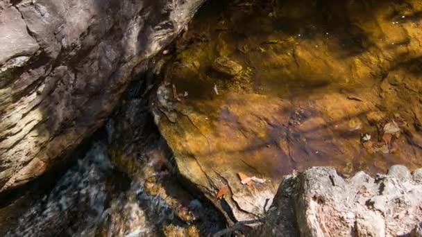 Вода Протекающая Через Горную Скалу Крупным Планом Прохождением Цветных Листьев — стоковое видео