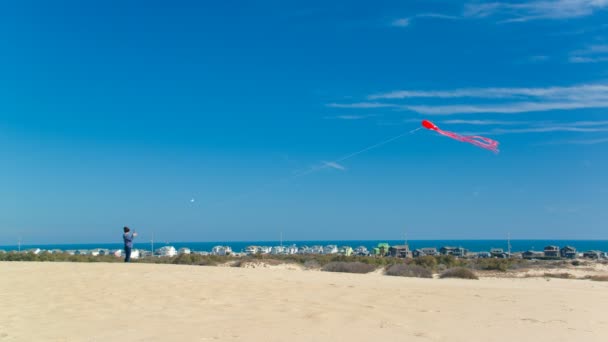 Kobieta Flying Kite Szczycie Jockey Ridge Sand Dune Zewnętrznych Banków — Wideo stockowe