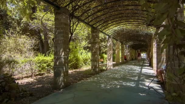 Athens Greece National Gardens Vine Tunnel Visiting People Apreciando Natureza — Vídeo de Stock