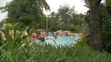Orlando's Aquatica Su Parkı'nda Bilinmeyen İnsanlar Yemyeşil Tropikal Bahçe ile çevrili bir Yüzme Havuzu.