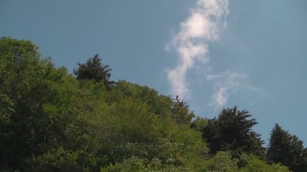 Schilderachtige Beelden Van Prachtige Blue Ridge Parkway Tussen Asheville Waynesville — Stockvideo