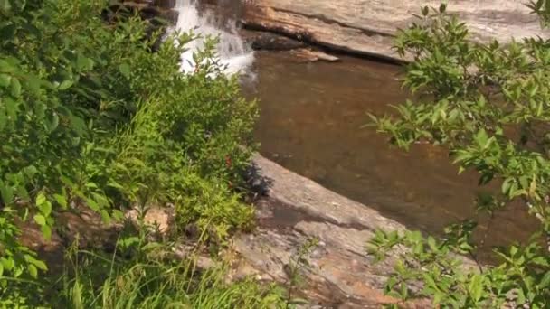 Schilderachtige Beelden Van Rivier Stroom Prachtige Blue Ridge Parkway Tussen — Stockvideo