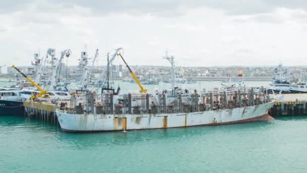 Óceáni Kikötőben Lebegő Hajók Felvételei — Stock videók