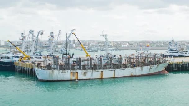 Imágenes Buques Flotando Puerto Oceánico — Vídeo de stock