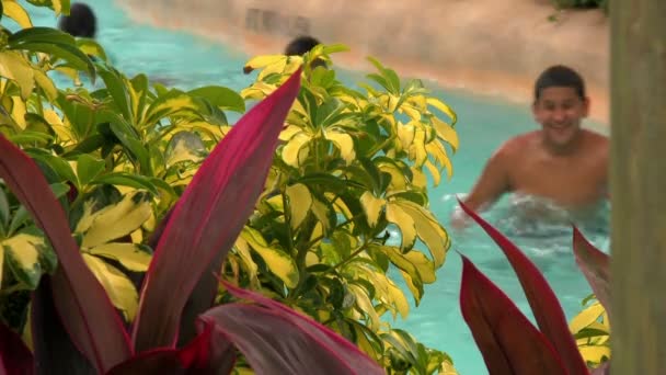 Close Plantas Tropicais Coloridas Frente Das Pessoas Parque Aquático Nadar — Vídeo de Stock