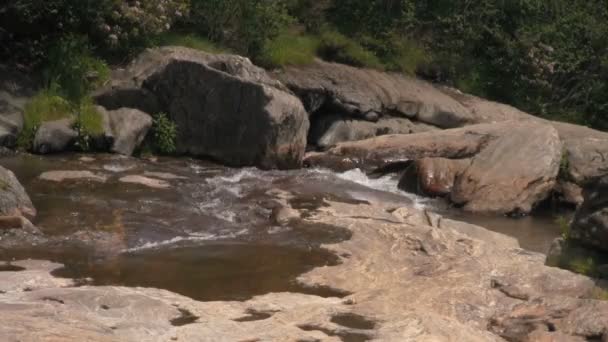 美しいブルーリッジの川の流れの風景映像ノースカロライナ州のアシュビルとウェインズビルの間のパークウェイ — ストック動画