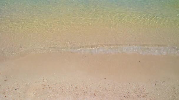 Agua Cristalina Tropical Rompiendo Suavemente Fondo Arena Playa Rosa Día — Vídeos de Stock