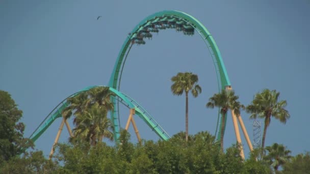 Seaworld Orlando Kraken Rollercoaster Fjärran Med Gröna Palmer Framför Blå — Stockvideo