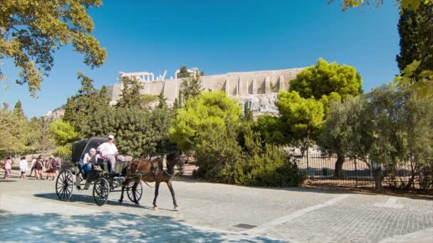 Atina Yunanistan Gezi Turistler Carriage Ile Bir Sunny Day Arka — Stok video