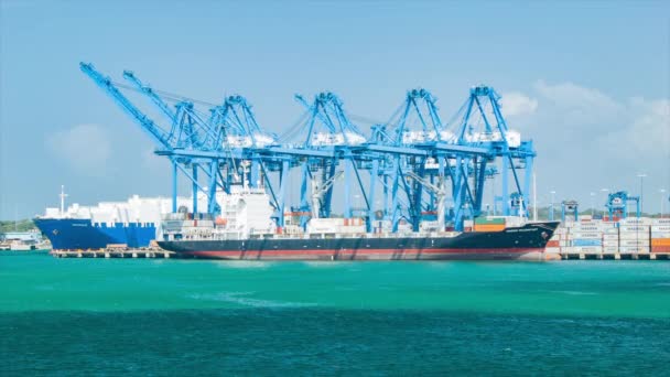 Container Cargo Freighter Fartyg Wide Shot Lastas Och Lossas Hamnen — Stockvideo