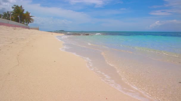 Lebendige Bahamas Strandszene Mit Exotischen Farben Als Klares Blaues Meerwasser — Stockvideo