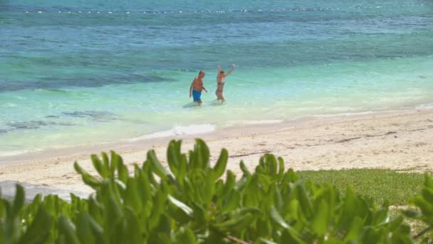 Nassau Bahamas Romantyczna Para Walking Zacisznej Egzotycznej Plaży Żywe Kolory — Wideo stockowe