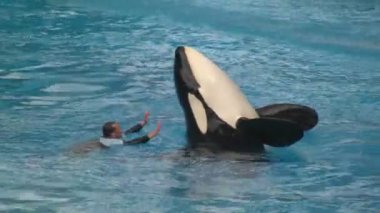 su parkında hile yapan orka görüntüleri