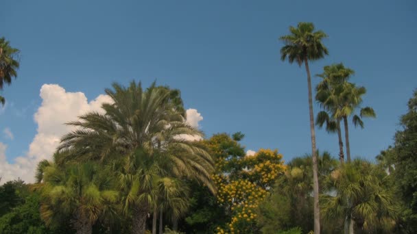 Metraje Del Parque Temático Moderno Día Soleado — Vídeos de Stock