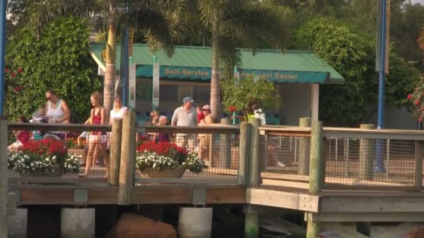 Personas Que Llegan Las Puertas Entrada Seaworld Adventure Park Orlando — Vídeos de Stock