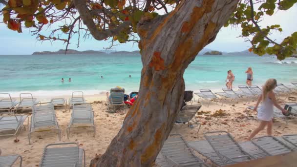 Thomas Uns Jungfräulichen Inseln Touristen Strand Von Saint John Bay — Stockvideo