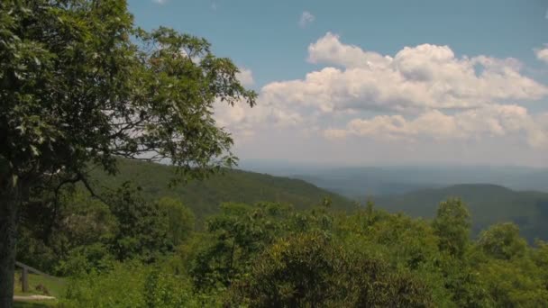 Uma Vista Sobre Floresta Nacional Pisgah Vista Pisgah Inn Blue — Vídeo de Stock