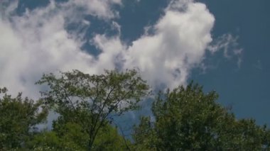 Batı Carolina 'da Asheville ve Waynesville arasındaki Blue Ridge Parkway' in manzaralı görüntüleri.