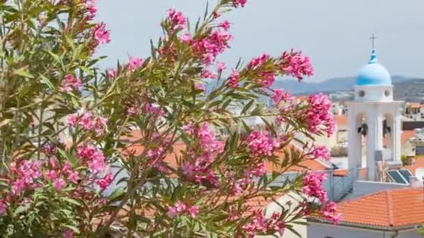 Blauwe Griekse Kerk Koepel Met Roze Mediterrane Bloemen Met Stadsgebouwen — Stockvideo