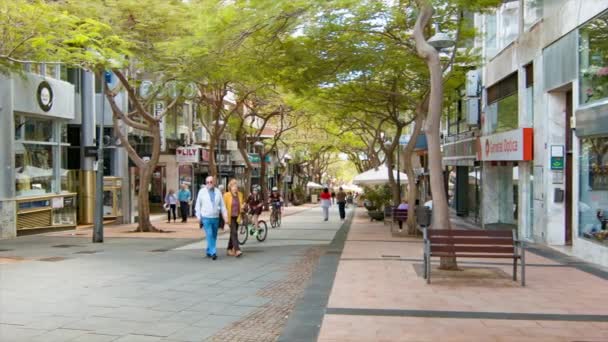 Торговая Улица Тенерифе Канарских Островов Tree Covered Shopping Street Людьми — стоковое видео