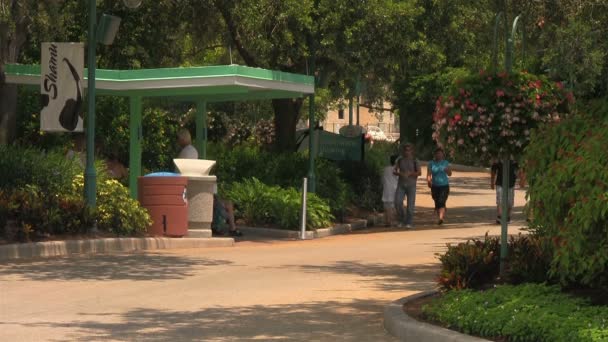 Imagens Parque Temático Moderno Dia Ensolarado — Vídeo de Stock