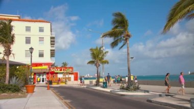 Nassau Bahamalar Çağrı Sahnesi Canlı Port Turistler Bahama Adası Sermaye Güneşli Bir Günde Rıhtım boyunca Yürüyüş ile Senor Kurbağalar