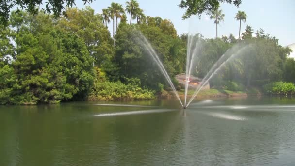 Una Fuente Lago Seaworld Orlando Adventure Park — Vídeos de Stock