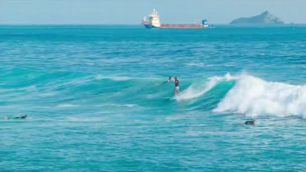 Tauranga Nouvelle Zélande Surfer Sur Les Grandes Vagues Sur Plage — Video