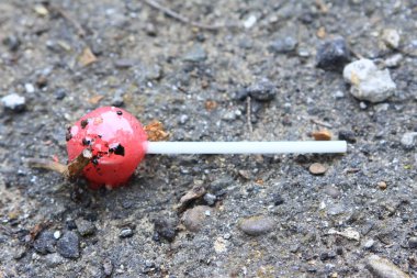 sopa Chupa Chups üzerinde şeker