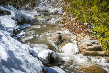 Buzlu bir derenin bahar erimesi 