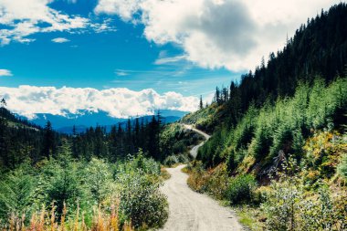 Dağ vadisinde dolambaçlı odun yolu