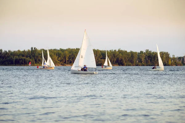 Geç akşam yelken sandal regatta
