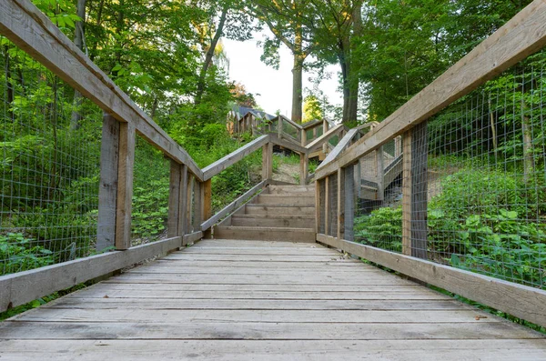 Мост Лестница Ведущие Природной Прогулки — стоковое фото