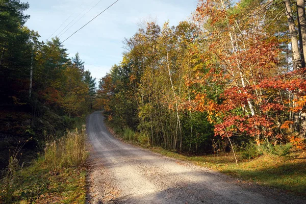 Rural gravel road through autumn trees