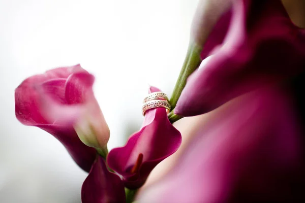 结婚戒指上一束鲜花 — 图库照片