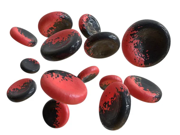 Genetiği Değiştirilmiş Kırmızı Kan Hücreleri