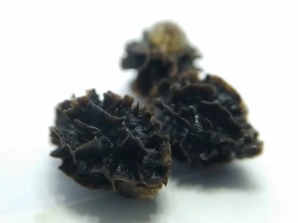 Picture Black Papaya Seed — стоковое фото