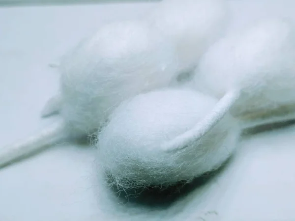 Cotton Bud Está Aislado Sobre Fondo Blanco — Foto de Stock