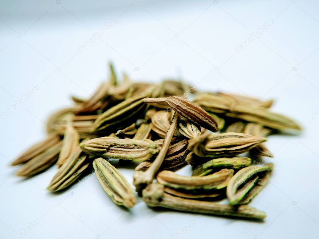 Aniseed fennel isolated on white background
