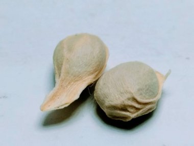 Limon tohumu beyaz arka planda